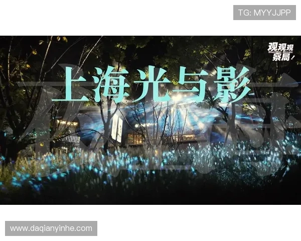 光与影的较量揭开幕布探索光影背后的秘密与争夺