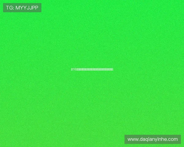 《16集开年戏回家》：一场关于归属与温暖的年度情感盛宴